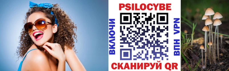 цена наркотик  Воткинск  Псилоцибиновые грибы Psilocybe 