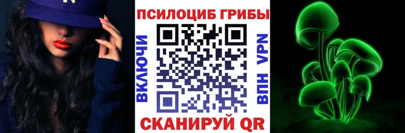 Псилоцибиновые грибы Cubensis Воткинск